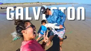Galveston's Most Family Friendly Beach - Shark Fishing and Mini Golfing