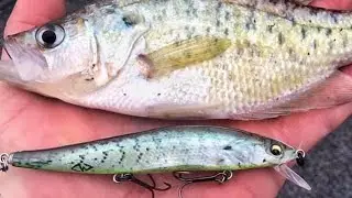 Change The Color Of Any Hard Bait In 5 Minutes (Crank Wraps)