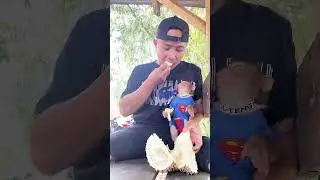 cute moment of little monkey♥️
