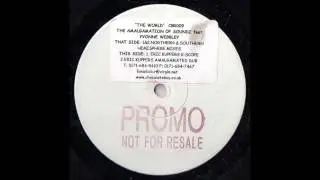 (1999) The Amalgamation Of Soundz feat. Yvonne Webbley - The World [Eric Kupper Amalgamated Dub RMX]