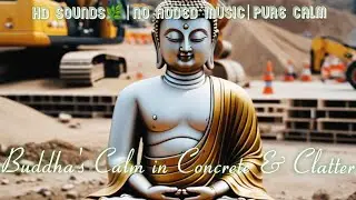 🚧 Find Peace in Chaos | 15-Minute Buddha Meditation in a Construction Site