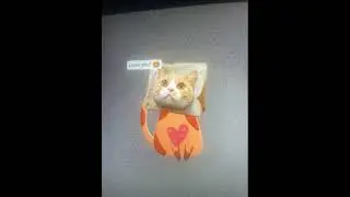 Bread cat
