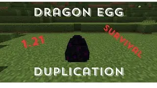 1.21.11 Dragon egg duplication glitch! (Java edition)