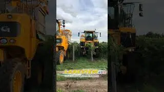 Gregoire G8.270 and GL8.6 with EASYClean Mechanically Harvesting Wine Grapes