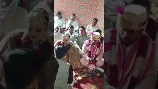 shaadi bavana ho rahi hai #anup #k #ka #kaksikud #minky #n #na #pesa #u