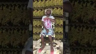 osoode behind the scenes