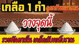 เกลือดูดทรัพย์ วางเกลือ 1 กำตรงนี้! รวยทันตาเห็น! เคล็ดลับโบราณดูดทรัพย์เข้าบ้าน พลิกชีวิตใน 7 วัน