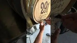 Shorts Episode 35:Barrel Aged IPA#shorts #homebrewing #beer #craftbeer #homebrew #brewing #hops #dry