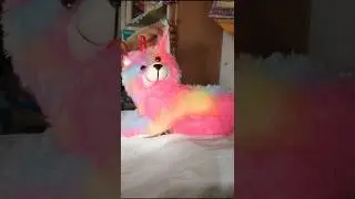 சூப்பரான toy's collection பாக்கலாமா #trending #minivlog #music #entertainment #song