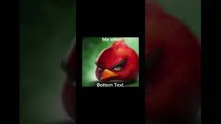 Bottom Text