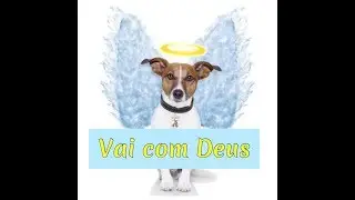 Mataram o cachorro do meu pai