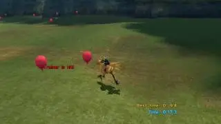 Final Fantasy X: How to win the Chocobo Race