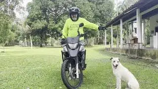 Treinamento de Equilíbrio