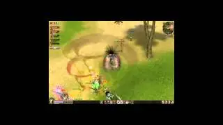 Metin2UK small fight