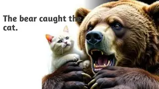 . 🐾 Friendship or Betrayal? The Bear Stole the Lion&rsquo;s Cat
