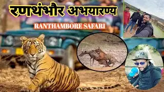Ranthambore National Park|| रणथंभौर अभयारण्य 🐯Tiger Attack|| #Vlog41 | #SandeepVlogisthan