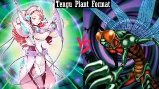 Psychics vs Insects (September 2011 Format)