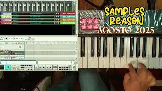 Reason Samples August 2025