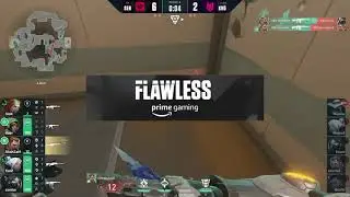 SEN Zombs tea bag delzik