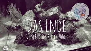 Red Sea Reefer 200XL - DAS ENDE