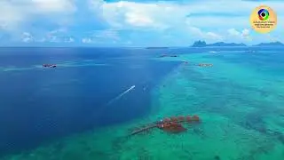 Along AIG ft Kisang ( PAMAYANGAN LASAH ) #lagubajau #lagubajauterbaru 