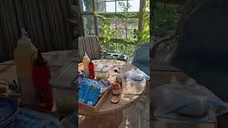 Pizza in the orangery. weekend food. Homemate orangery T&aring;singe Danmark