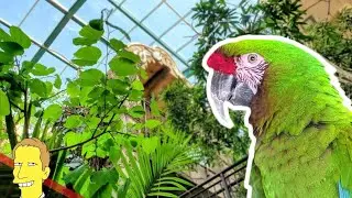Bird Kingdom Niagara Falls: A Tropical Paradise You Have To Explore!