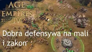 Age of Empires IV rankedy drużynowe - Dobra defensywa na mali i zakon