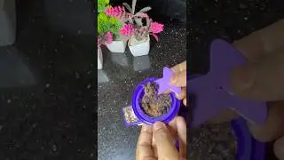 Cadbury Daily Milk Lickables with Oreo Chunks #prarthanaskitchen #shorts #cadbury #lickables #viral