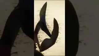 Pterosaurs and dinosaurs #dinosaurs #earth #predator #documentary