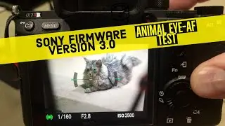 Sony Animal Eye-AF tested on Sean Coonery