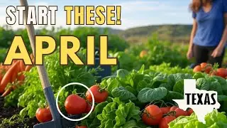 Texas Spring Gardening | Find Your Last Frost Date & Start Planting!