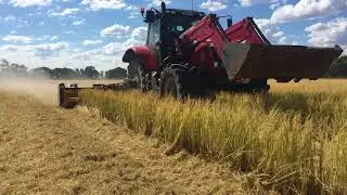 Muthing Mulcher MU-M 600 Vario Flail Mower Mulching Rice Crop