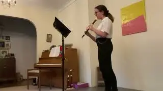 Turtle beach, Simon Wade, Eowyn Ransley age 12, treble recorder.