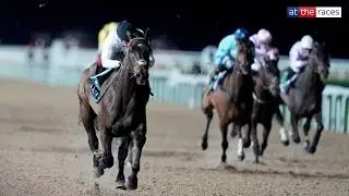 CONSTITUTION HILL sends Southwell wild with stunning performance on Flat debut! | Full race replay