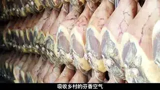 Unveiling the Parma Ham Factory: Ham Must Cure for 300 Days Before Sale