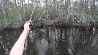 Sampson Lake
