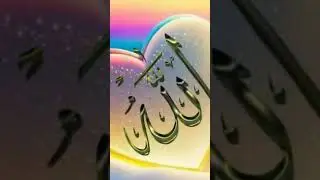 .................         ................        ............#islamic #trading #vrialshort #video