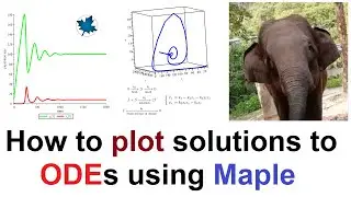 How to plot solutions to a system of ODEs with initial conditions using Maple