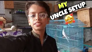 Myray Uncle Ka Birds 🐦 Setup 🥰 | Sorry Short Vlog 😓 | plz like subscribe my chenl | #janwarokyashiq
