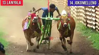 FULL VIDEO KERAPAN SAPI HUT JENGLOT 2024 || KERAPAN SAPI LAPANGAN TEMPURAN AKHIR TAHUN 🔥🔥