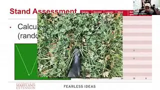 Spring Pasture Management
