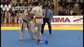 what is the freestyle karate ?