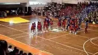 cheer delfines prepa 8