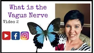 How does the Vagus nerve effect my Fibromyalgia Symptoms