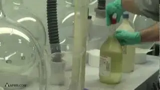 Digestion of Scrap Dental Gold Alloy