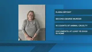 Woman arrested in Davidson County deadly dog attack
