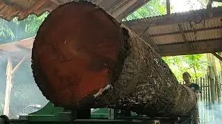 Splitting beautiful long mahogany logs for sheet material #221