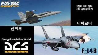 [DCS2.5]AIM-120 암람 시커 업데이트? 다시 암람 살아나나요? 밥먹기 전까지 아페르타님이랑 편대 소티 저녁엔 더 포레스트!