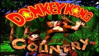 Donkey Kong Country Competition (SNES) - 5,863 (Former World Record)
